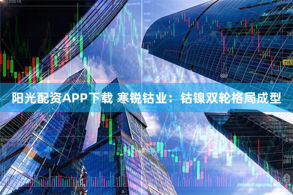 阳光配资APP下载 寒锐钴业：钴镍双轮格局成型