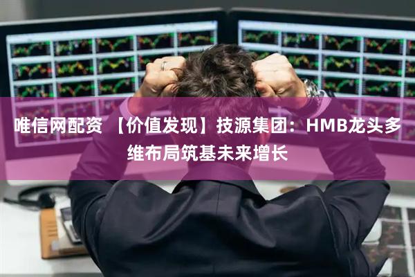 唯信网配资 【价值发现】技源集团：HMB龙头多维布局筑基未来增长