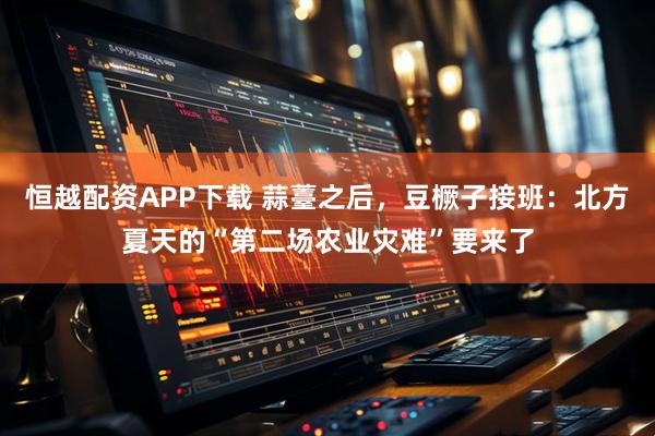 恒越配资APP下载 蒜薹之后，豆橛子接班：北方夏天的“第二场农业灾难”要来了
