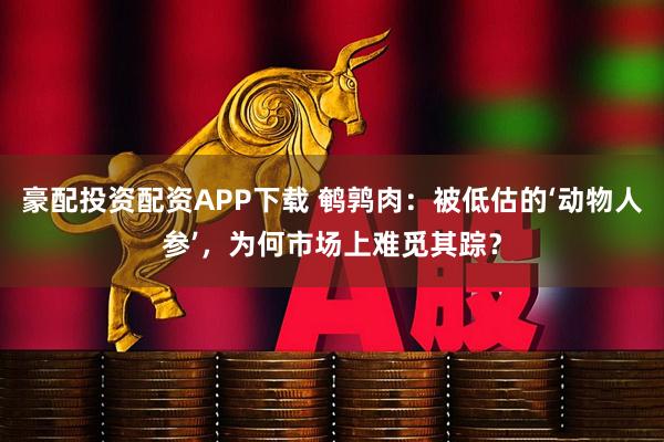 豪配投资配资APP下载 鹌鹑肉：被低估的‘动物人参’，为何市场上难觅其踪？