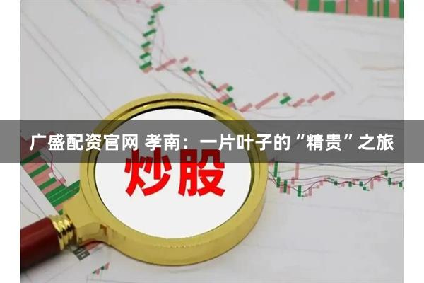 广盛配资官网 孝南：一片叶子的“精贵”之旅